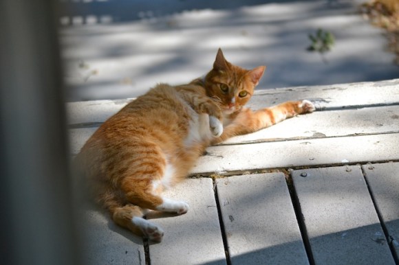 Butters before the fat shaming